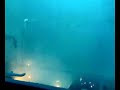 Sodium In Water