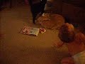 Bunny are great pets!!