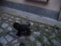 emy e il pallone
