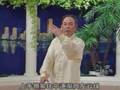 Taichi 24 forms part 4 b - Tai Chi