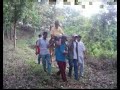 NOBORU UMEDA REFORESTATION PROJECT