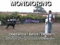 Mondioring CaneUtile Rottweiler Mondioring CaneUtile Rottweiler