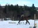 Chico- sprangtrening 90- 110 cm Chico- sprangtrening 90- 110 cm