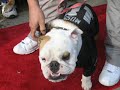 2007 Bulldog Beauty Contest