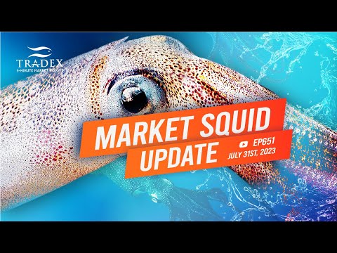 3MMI - Market Squid Update: Exports to China up 600%, El Nino May Impact Harvest