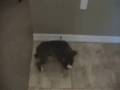 Jager DoorStop 2 Jager DoorStop 2