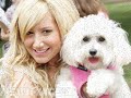 Ashley Tisdale --- Tokio Hotel Ashley Tisdale --- Tokio Hotel