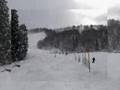 07-08.01/26 PINERIDGE RESORTS 神立
