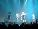 Miracle - cascada in london