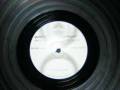 Galeria - The Gael´s Return (Horny United Remix)