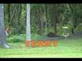 HOT SHOTS of Daytona Beach disc golf