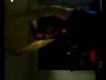 videos de 