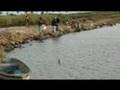 Pescando-En-Aquanova