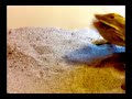 Hercules eating in slow motion