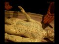 Edward Scarlett - Meridians, organs and acupuncture points