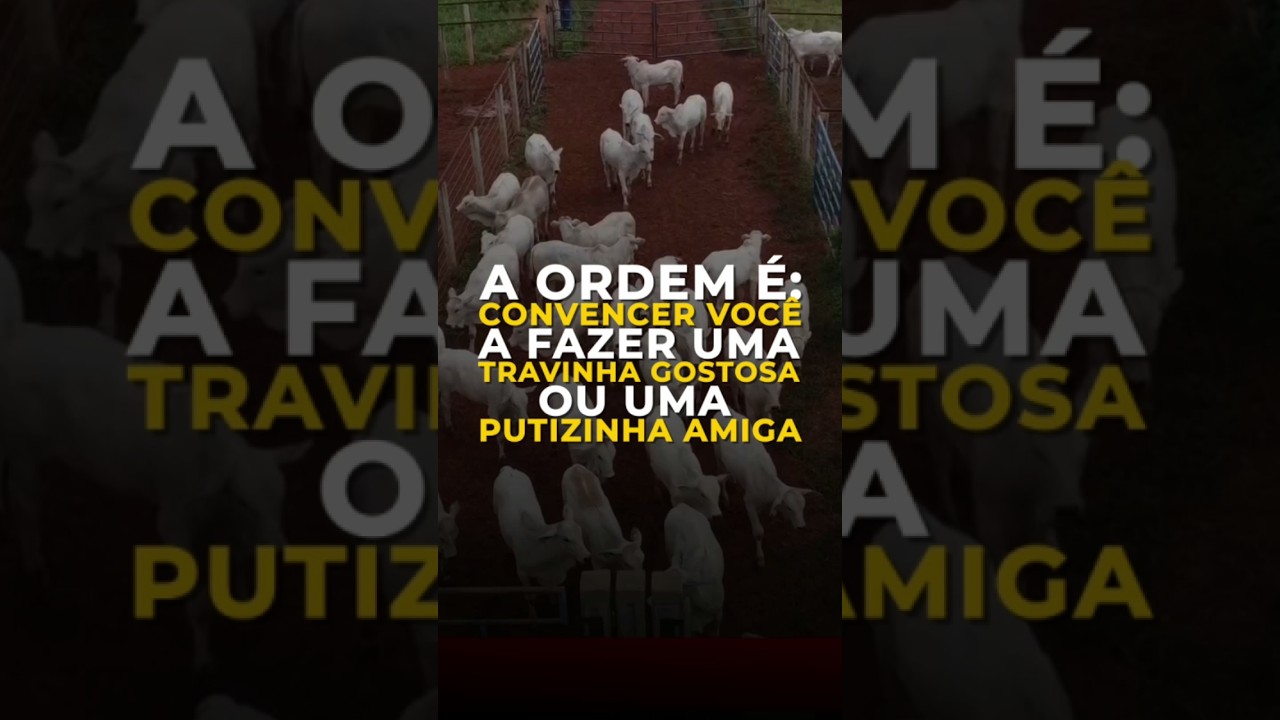 A ORDEM É: CONVENCER VOCÊ A FAZER UMA “TRAVINHA GOSTOSA” OU UMA “PUTIZINHA AMIGA”