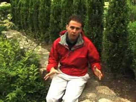 Creating Outdoor Rooms From ...