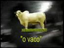 Retiro 2008 \"festa da cidade\" v�deo 2