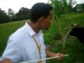 videos de patty the reporter