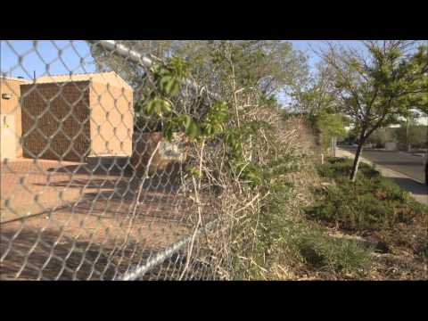 how to clean up a water leak