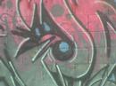 SEK crew Coahuila.Mexico