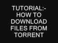 how to download torrent files
