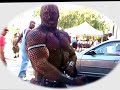 Dan Pecman the Netsuited Muscleman Dan Pecman the Netsuited Muscleman