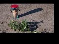 Jaybob - Shelter To Hide