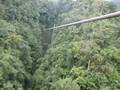 Canopy zip Line Costa Rica