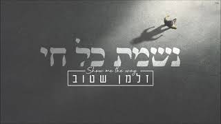 זלמן שטוב – נשמת כל חי