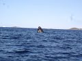 I was on a holiday in Greenland and ...