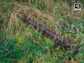 Grenzer auf Spurensuche - Links und Rechts der G�ST Worbis