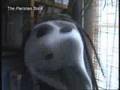 a few seconds poetry in your tube life