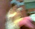 Treo 750 Sample Video Treo 750 Sample Video