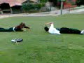 PANCHO CONY Y CAMILA RODANDOO :$