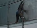 miami-bass.html