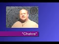Witch Words - Meaning of 'Chakra'