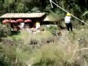 Tirolesa em família10