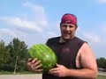 Will It Bounce