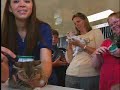 Love Animals? Want to help our Pet community out? Come see, love, and learn about what you can do at the Dorothy O'Connor Pet Adoption Center.