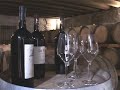 Cantina del pigozzo