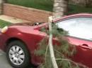 on june 4th, 2008, violent thunderstorms swept through the city, knocking out power all over the place and bringing down trees everywhere. damage was widespread across the whole region. i watched the doppler radar while a classic 