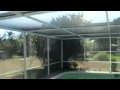 Strange sound in Florida [Boca Raton, FL 2012] [1:12 PM]