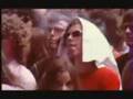 Focus on Pinkpop Festival