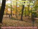 Cubby's 334th Disc Golf Hole In One Video