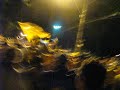 � Campe����o!