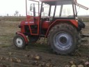 Akcja burak 2008 transport przyczepy zetorem 4011.