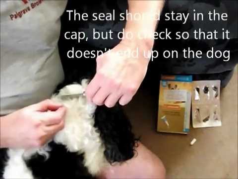 how to use skin so soft for fleas