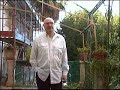 Il voto operaio Il voto operaio