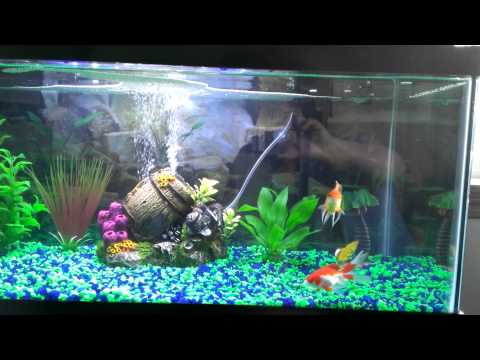 how to cure ammonia burns on fish